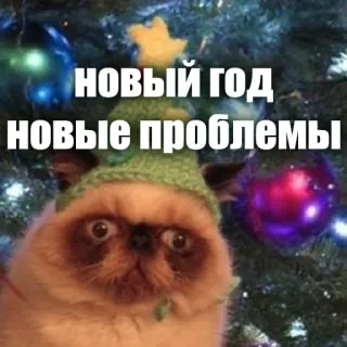 🤪 НОВЫЙ ГОД
НОВЫЕ ПРОБЛЕМЫ new year, cat, russian, problems, meme, funny telegram sticker