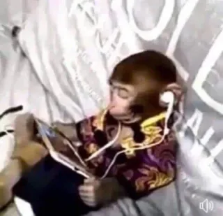 🙈 monkey, headphones, tablet, cute, animal telegram sticker