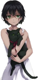 ❄ anime girl, black cat, cute, illustration telegram sticker