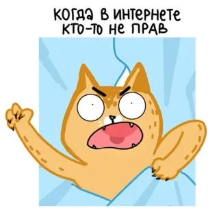 🤬 КОГДА В ИНТЕРНЕТЕ КТО-ТО НЕ ПРАВ gatto, arrabbiato, internet, discussione, divertente telegram sticker