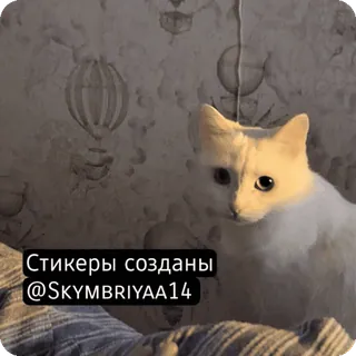 🌟 Стикеры созданы @SKYMBRIYAA14 mèo, trắng, động vật, nhà whatsapp sticker