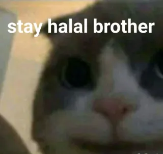 Khusus buat Chat Me dari biologi whatsapp stickers