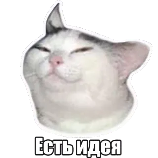 😏 Есть идея chat, idée, mème, mignon, drôle telegram sticker