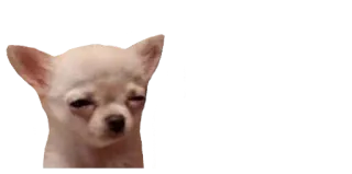 😑 cão, chihuahua, meme, animal, animal de estimação telegram sticker