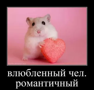 🐹 влюбленный чел. романтичный Hamster, Coeur, Amour, Romantique, Mignon, Animal whatsapp sticker