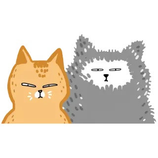 😺 gatto, animale, adesivo, carino, animale domestico telegram sticker
