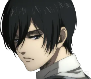 😒 Mikasa Ackerman Attack on Titan อนิเมะ, ตัวละคร, ภาพเหมือน, ญี่ปุ่น, มิกาสะ, แอคเคอร์แมน telegram sticker