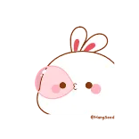 😀 conejo, lindo, pegatina, animal, dibujos animados whatsapp sticker