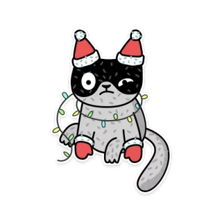 😕 고양이, 크리스마스, 조명, 산타 모자, 만화 고양이, 축제 telegram sticker