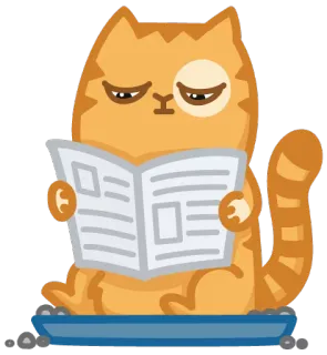 🚽 kat, lezen, krant, dier, sticker whatsapp sticker