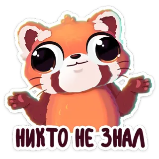🤷 НИКТО НЕ ЗНАЛ animal, panda rojo, pegatina, lindo, cuestionando, encogerse de hombros telegram sticker
