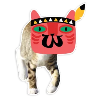 W-cats telegram stickers