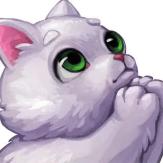 🙏 cat, cute, animal, kitten, pet telegram sticker