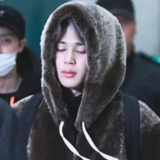🍁 Park Jimin park jimin, jimin, bts, k-pop, idol, cantor, moletom com capuz telegram sticker