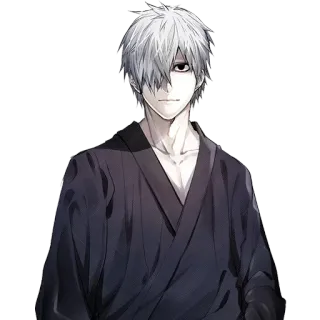 ❄️ Anime, Pria, Rambut Putih, Mata Gelap, Jubah whatsapp sticker