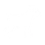 🐕