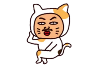 😐 kot, zwierzę, humor, śmieszne, postać, kostium telegram sticker