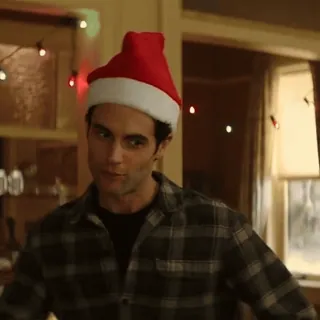 😁 Mann, Weihnachtsmütze, Weihnachten, Feiertag, kariertes Hemd telegram sticker