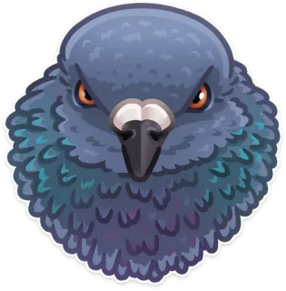 🐦 비둘기, 새, 동물, 스티커, 화난, 만화 telegram sticker