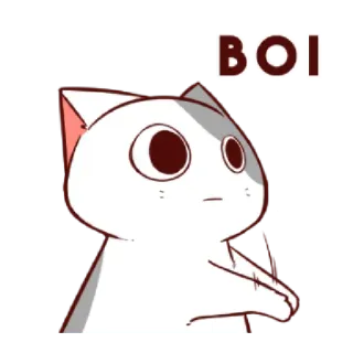 😐 BOI cat, meme, boi, cute, animal telegram sticker