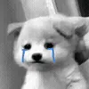 😭