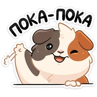 🤚 Пока-Пока cobaya, lindo, animal, ruso, saludando, despedida, dibujos animados, pegatina telegram sticker