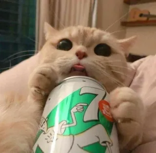 🍶 7 Katze, Tier, Getränk, Trinken, Zunge, niedlich telegram sticker