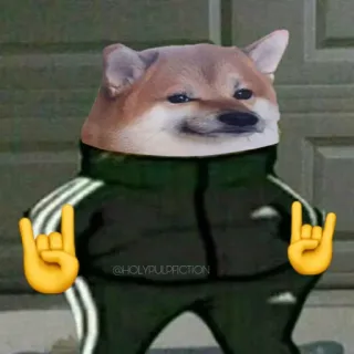 🤘 doge, 개, 시바견, 트레이닝복, 아디다스, 이모티콘 telegram sticker