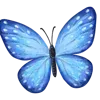 🦋