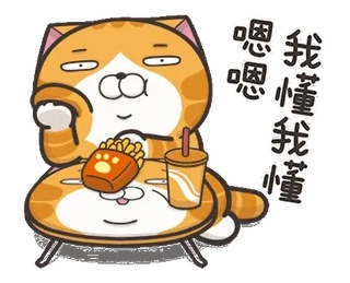 ⭐️ 嗯嗯嗯 gato, lindo, patatas fritas, bebida, naranja, animal, dibujo animado telegram sticker