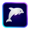 🐬