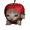 🍎