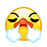 😤