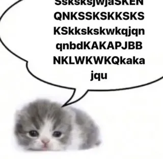 😈 SskssjwjaSKEN
QNKSKSKSKKKS
KSkkskskwkqjn
qnbdKAKAPJBB
NKLWKWKQkaka
jqu Katze, Kätzchen, Meme, lustig, Tier, Haustier, süß telegram sticker