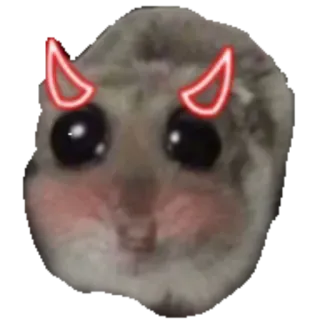 😈 Hamster hamster, cute, devil, horns, reaction, meme, funny, animal telegram sticker