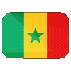 🇸🇳