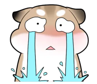 😭 huilen, verdrietig, tranen, dier, hond telegram sticker