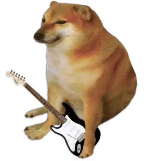 🐶 Cheems หมา, มีม, cheems, กีตาร์, เพลง whatsapp sticker