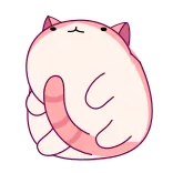 🐈