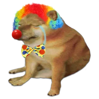 👎 doge, cheems, ピエロ, ミーム, 悲しい telegram sticker