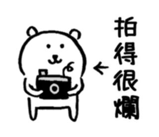 📷 拍得很爛 desenho animado, animal, fotógrafo, urso, chinês, texto telegram sticker