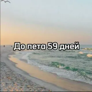 ☀️ До лета 59 дней playa, verano, cuenta atrás, vacaciones, océano telegram sticker