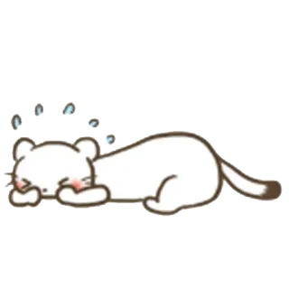 😔 猫, 睡觉, 动物, 可爱, 卡哇伊, 宠物, 家畜 telegram sticker