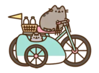 🚵 Pusheen chat, vélo, dessin animé, mignon, animal de compagnie, chaton telegram sticker