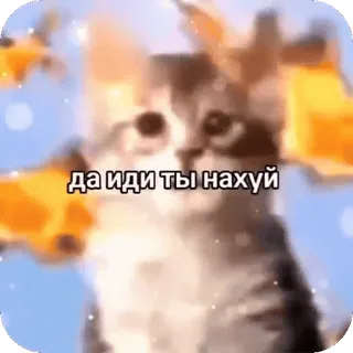 🖕 да иди ты нахуй kucing, anak kucing, rusia, ofensif telegram sticker