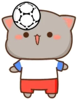 ⚽️ cat, soccer, football, cute, animal, peach, goma whatsapp sticker