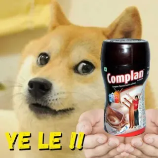 🥛 YE LE !! doge, meme, comida, complan, perro, gracioso telegram sticker