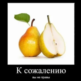 🍐 К сожалению
вы не правы pera, frutta, demotivazionale, umorismo, cibo telegram sticker