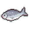 🐟