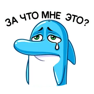 😢 ЗА ЧТО МНЕ ЭТО? дельфин, грустный, плачущий, мультяшный, синий, животное, наклейка, выражение telegram sticker